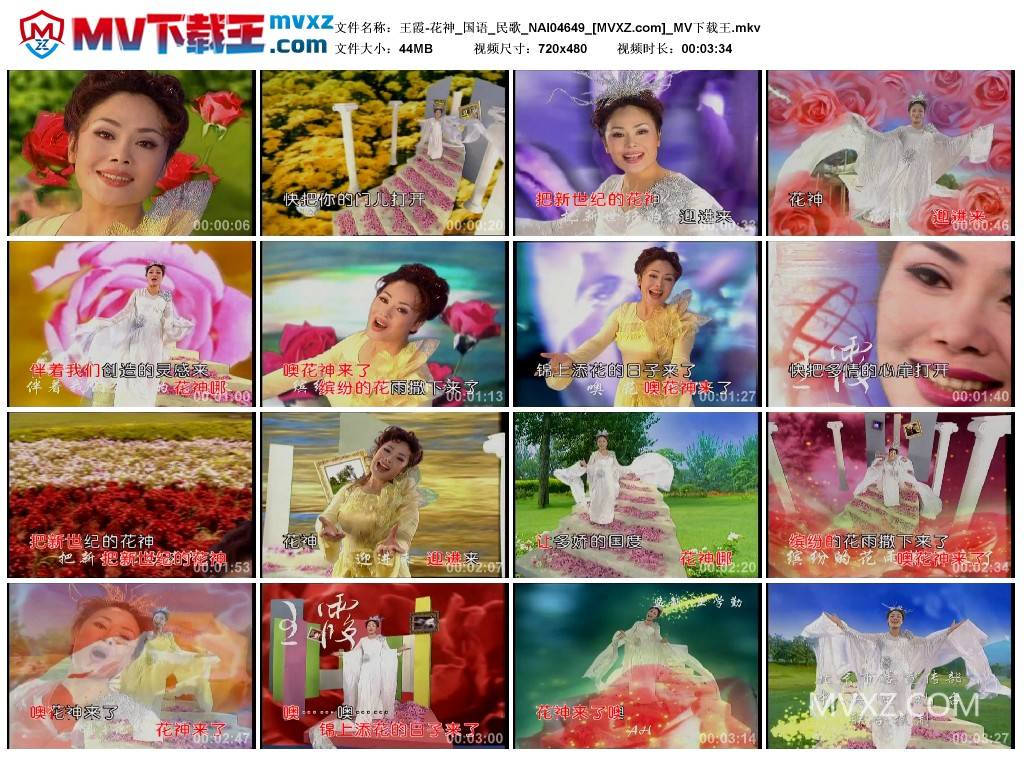 王霞-花神_国语_民歌_NAI04649